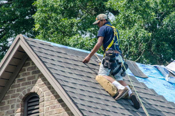 Best Roof Waterproofing Services  in Hartselle, AL